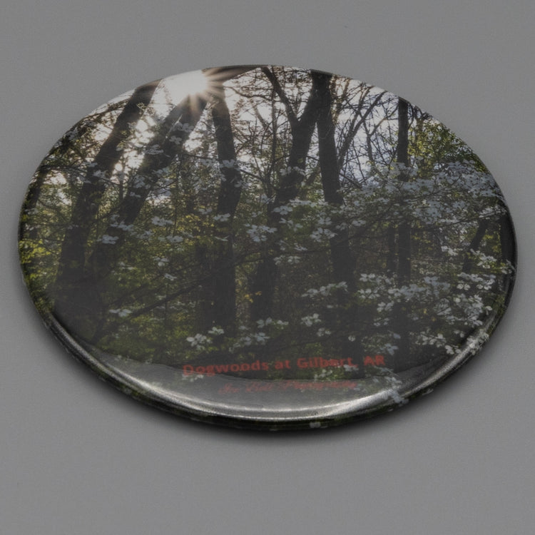 Magnet Dogwoods in Gilbert, AR