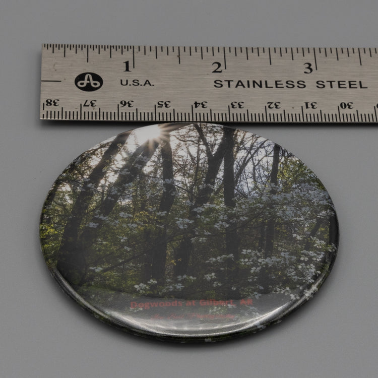 Magnet Dogwoods in Gilbert, AR