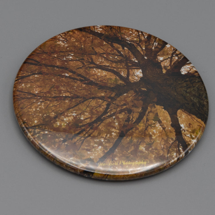 Magnet Fall Leaves