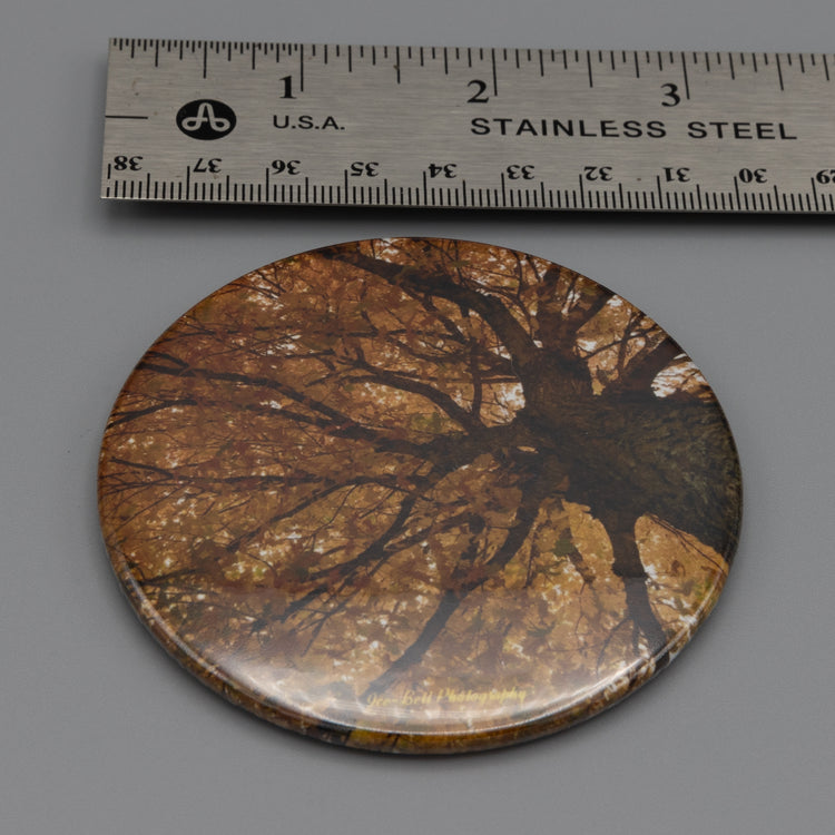 Magnet Fall Leaves