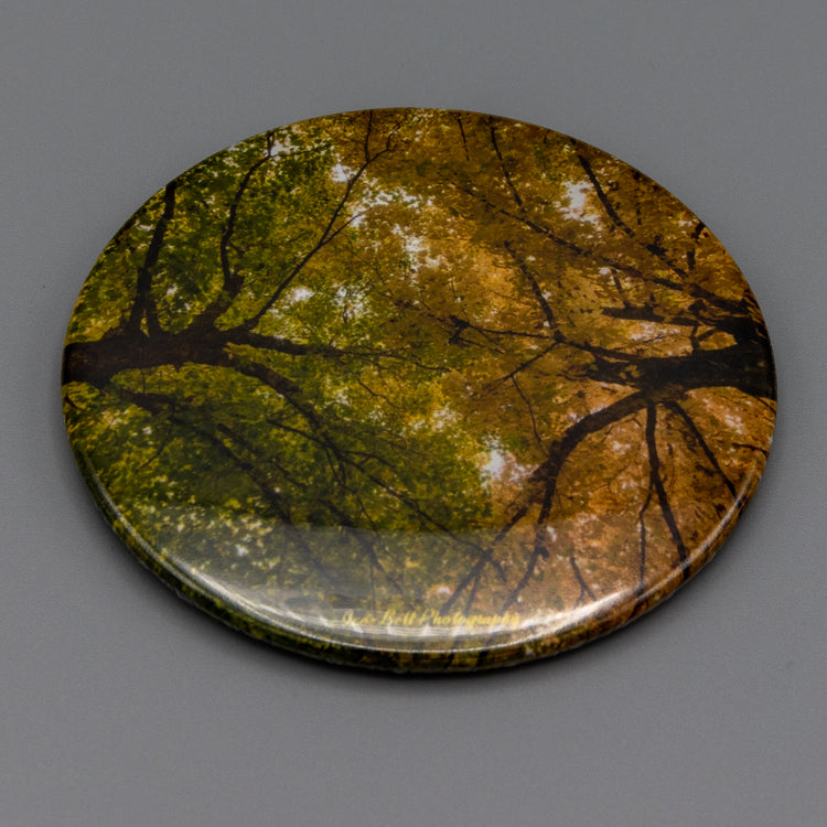 Magnet Fall Leaf Color Half and Half