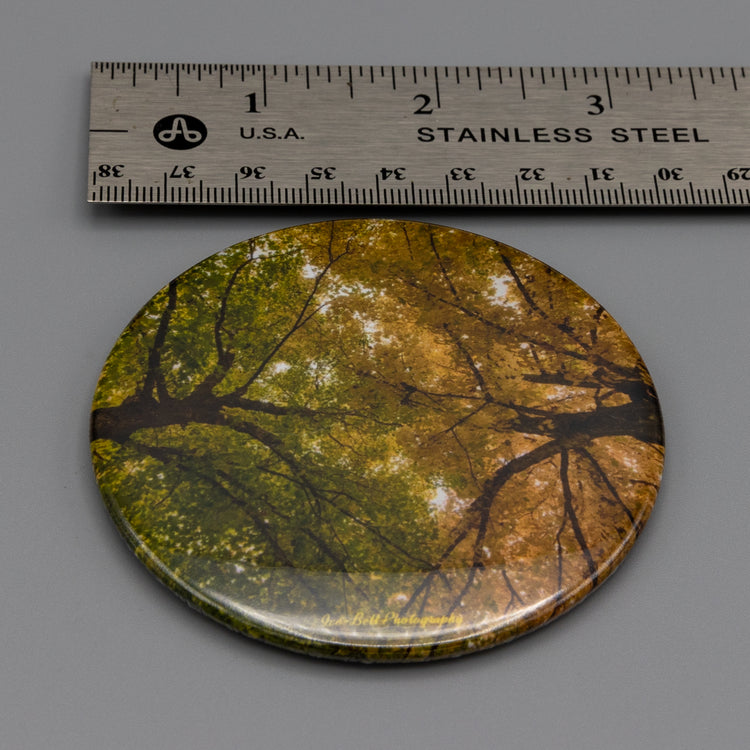 Magnet Fall Leaf Color Half and Half