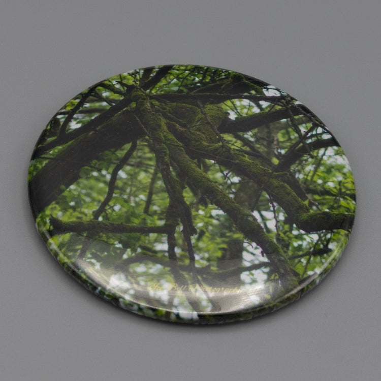 Magnet Mossy Tree Branches