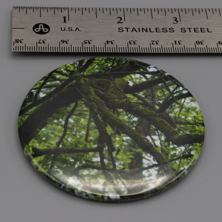 Magnet Mossy Tree Branches