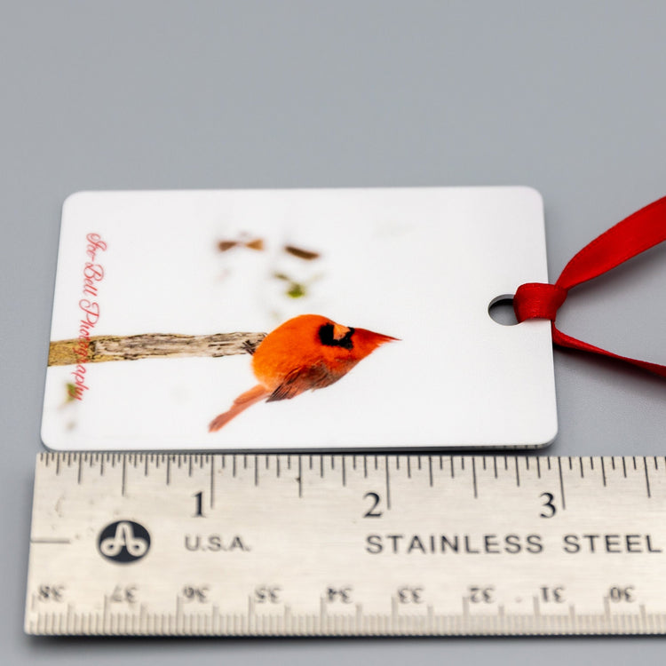 Ornament Cardinal in Snow