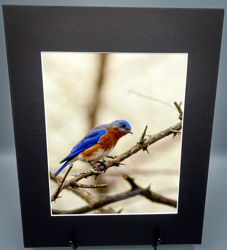Well Hello There! Matted Print