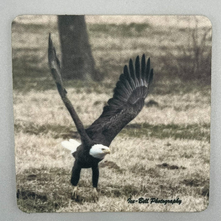 Coaster Cardinal Bald Eagle Ground Take Off