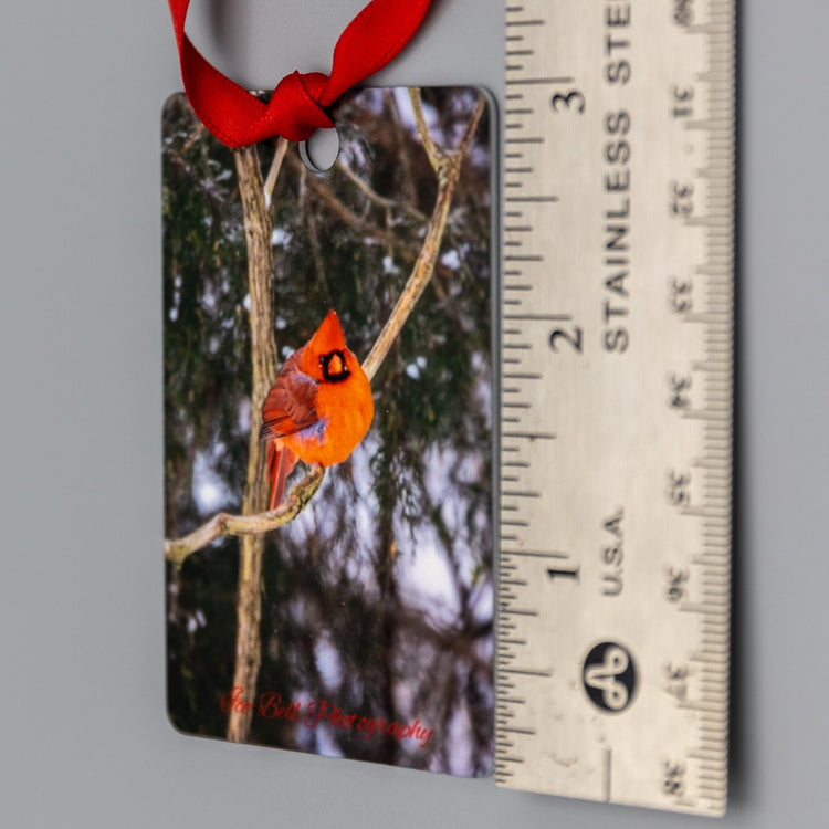 Ornament Cardinal with Cedar