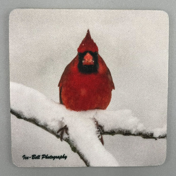 Coaster Cardinal in Snow Facing Forward