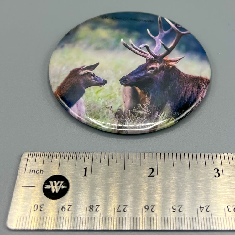 Magnet What Now? Boxley Valley Elk