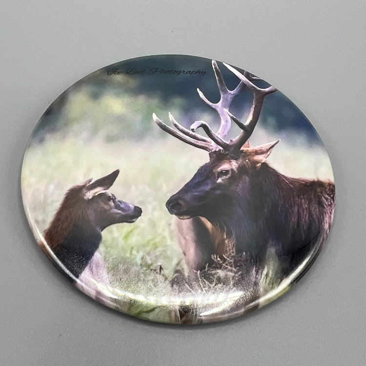 Magnet What Now? Boxley Valley Elk