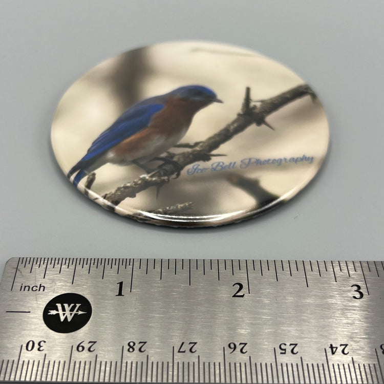 Magnet Female Blue Bird