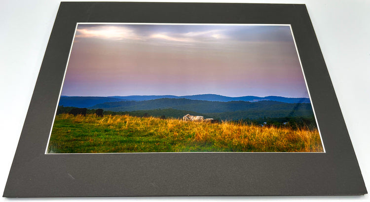 An Evening Graze Matted Print
