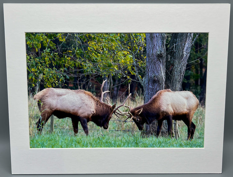 Gentleman’s Dual Matted Print