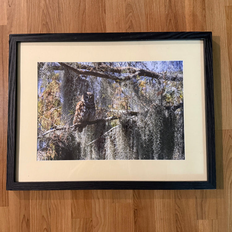 Framed Photography