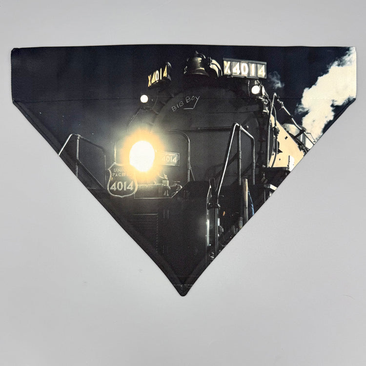 Over Collar Bandana - Big Boy at Night - LG
