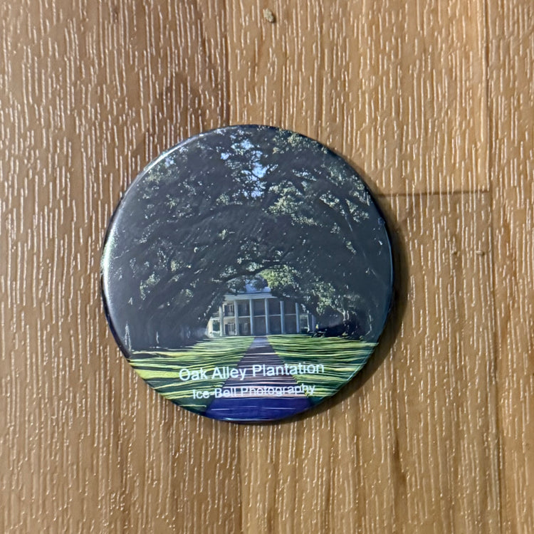 Magnet Oak Alley Plantation