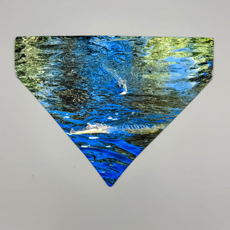 Over Collar Bandana - Alligators - MD