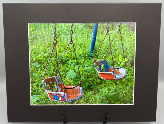 Old Swings at Dogpatch USA Matted Print