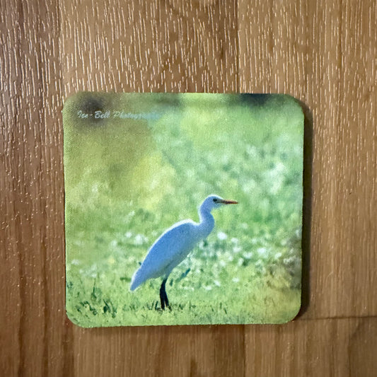 Coaster Egret