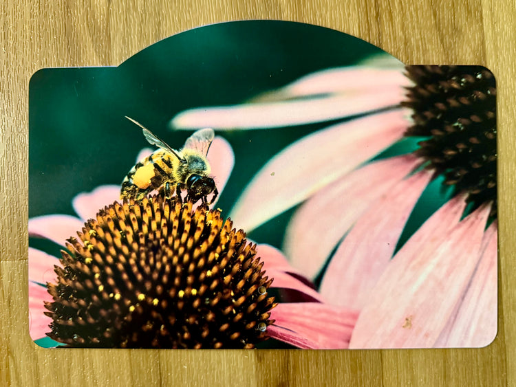 10” Garden Sign - Pollinator Santuary