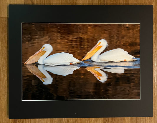 Double Reflection Matted Print