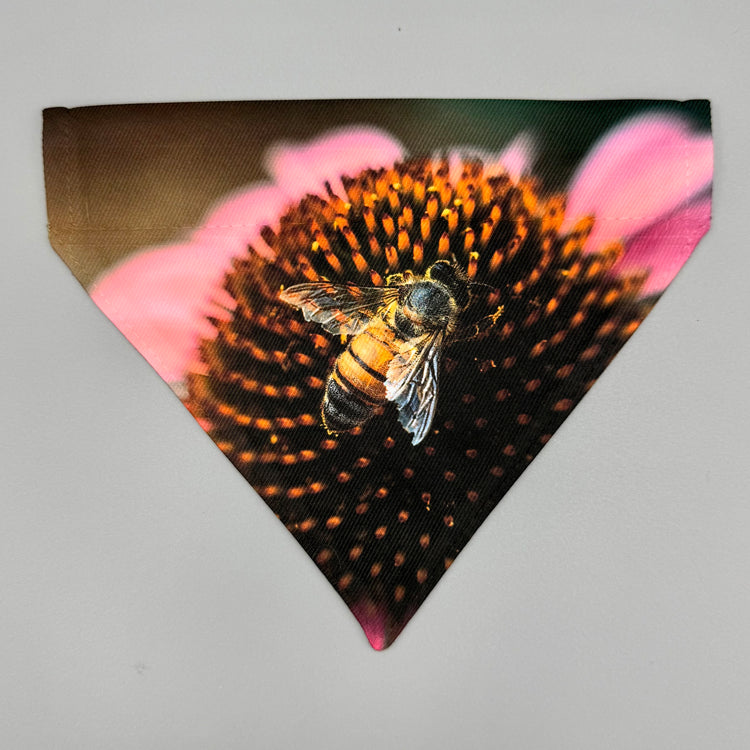 Over Collar Bandana - Cone Flower with Bee - SM