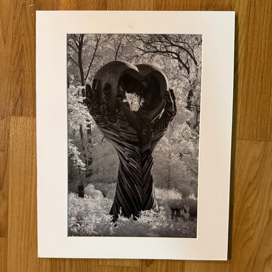 Open Heart in IR Matted Print