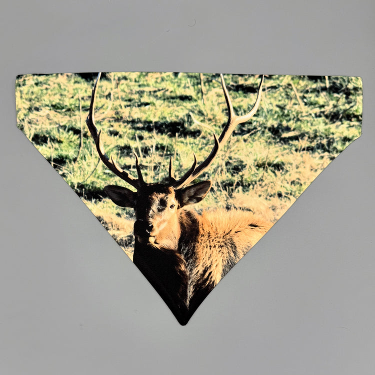 Over Collar Bandana - Bull Elk - LG