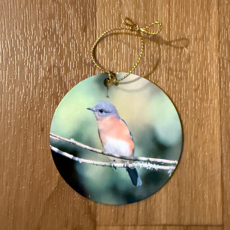 Ornament Sweet Female Blue Bird