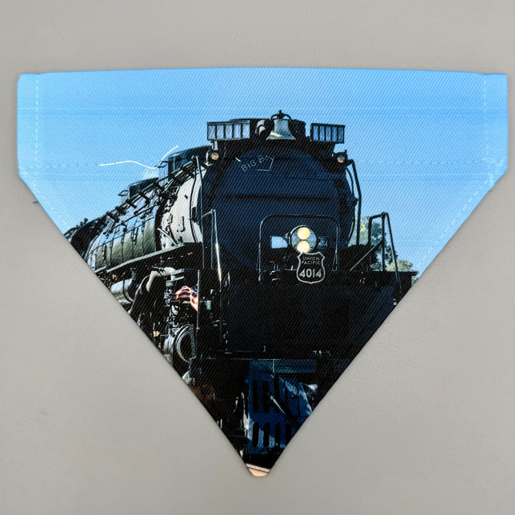 Over Collar Bandana - Big Boy - SM