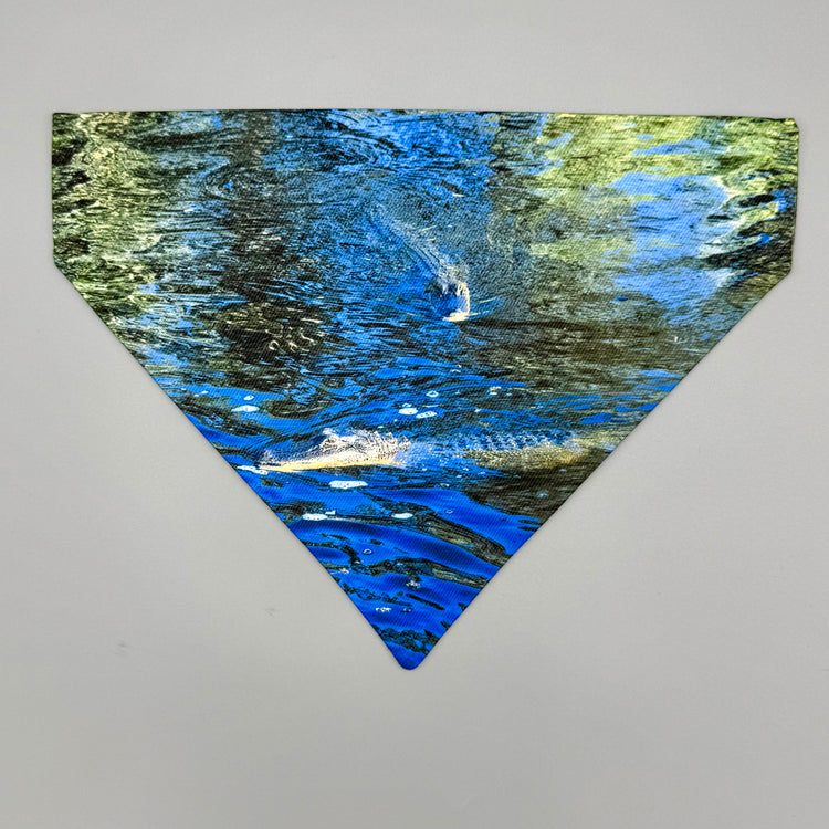 Over Collar Bandana - Alligators - MD