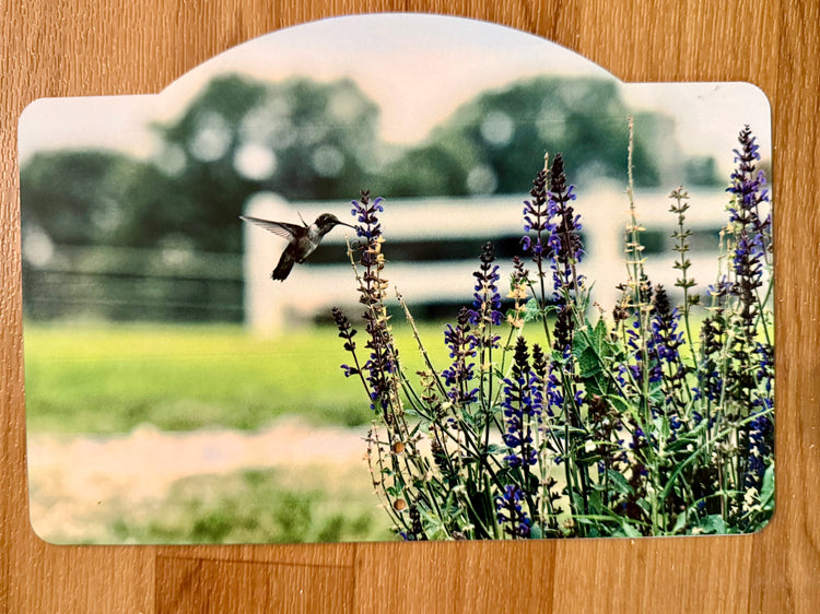 10” Garden Sign - Hummingbird Refreshment Station