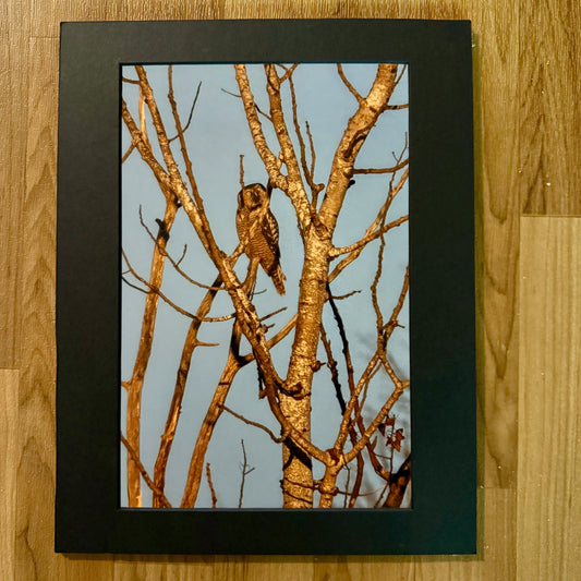 The Silent Observer Matted Print