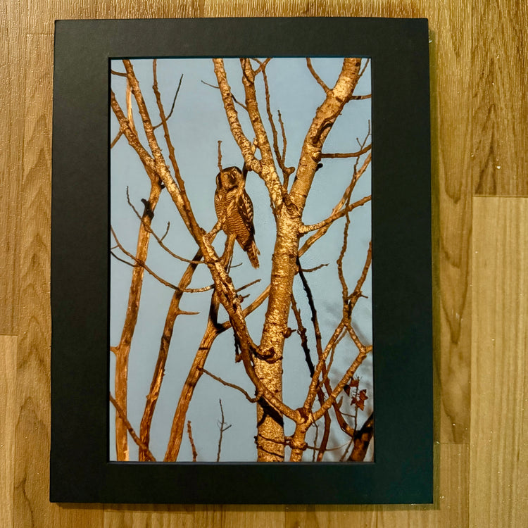 The Silent Observer Matted Print