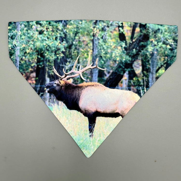 Over Collar Bandana - Elk Bugle - SM