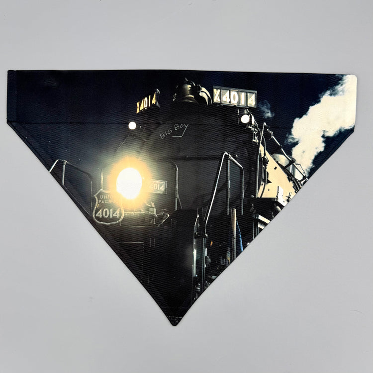 Over Collar Bandana - Big Boy at Night - LG
