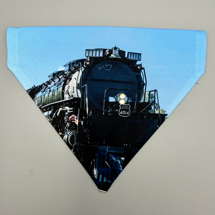 Over Collar Bandana - Big Boy - SM