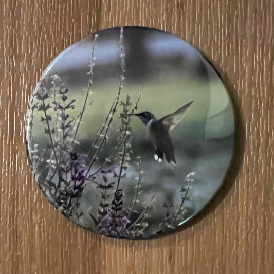 Magnet Hummingbird 2