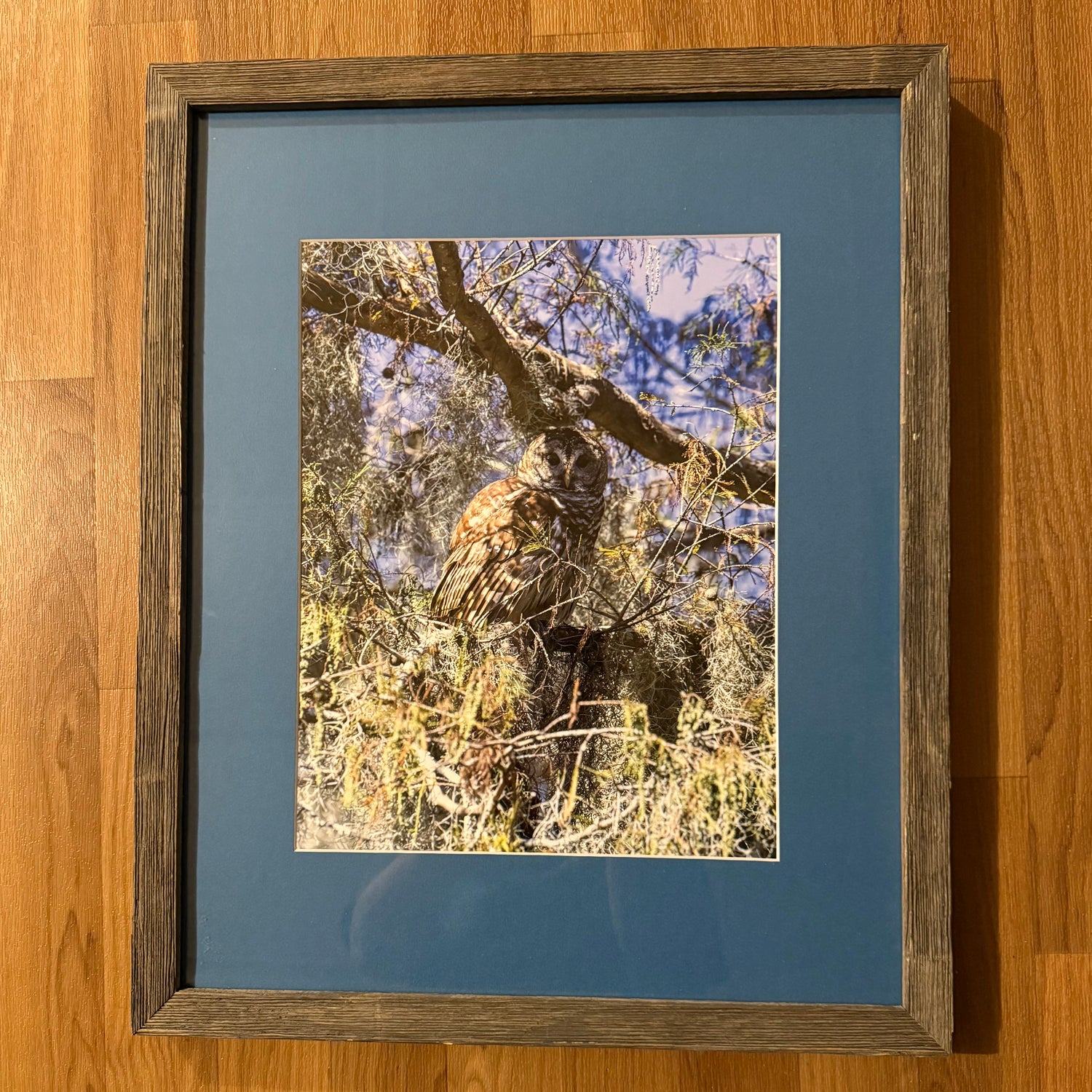 Framed Photograph