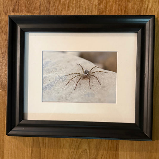 Aranvia Framed Photograph