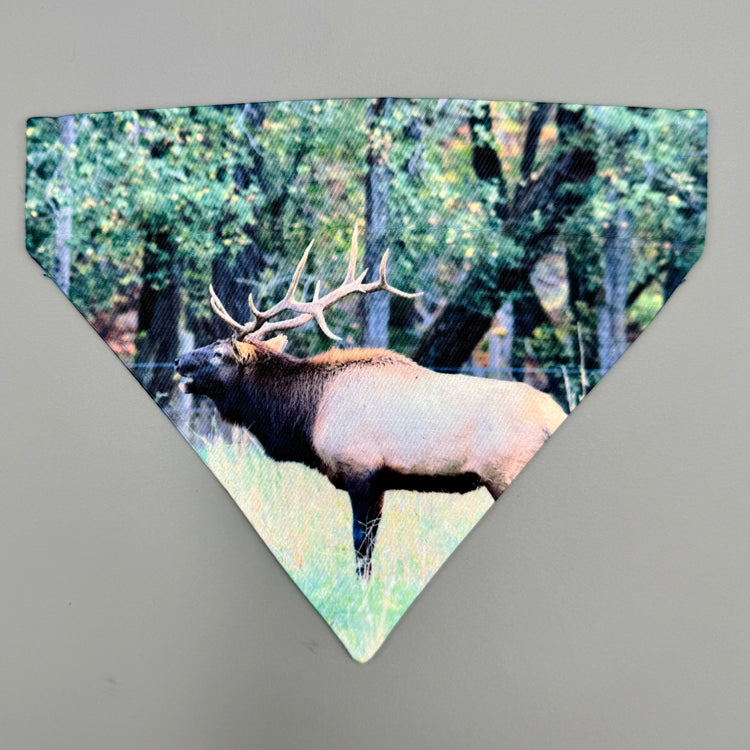 Over Collar Bandana - Elk Bugle - SM