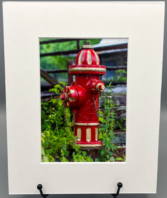 Red Gold Fire Hydrant Dogpatch USA Matted Print