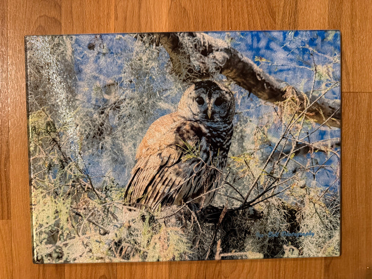 Glass Cutting Board - Barred Owl