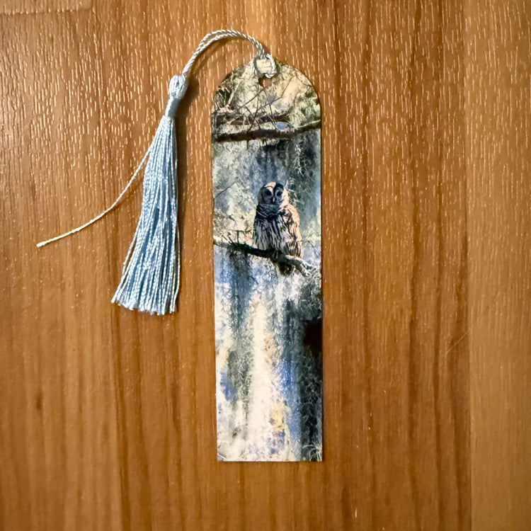 Barred Owl Metal Bookmark