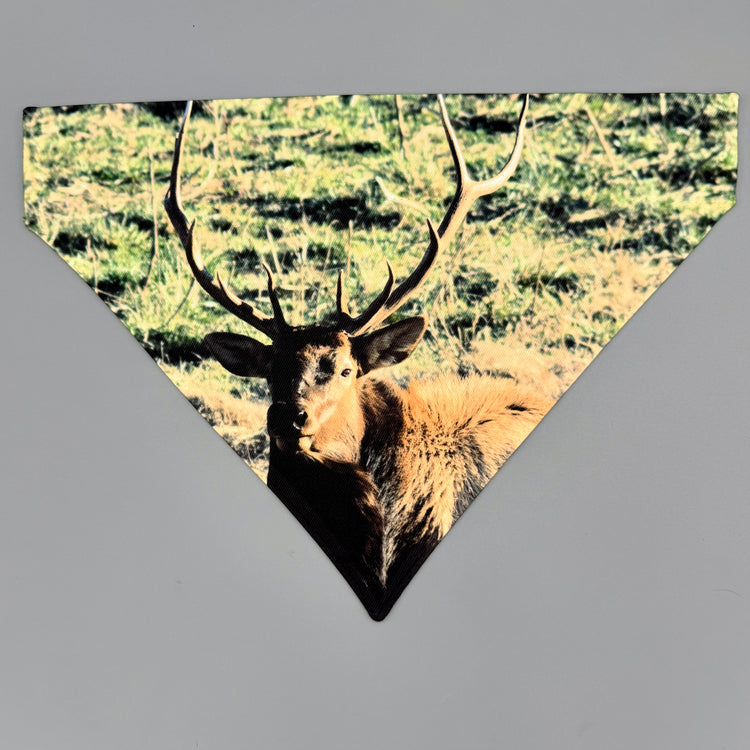 Over Collar Bandana - Bull Elk - LG