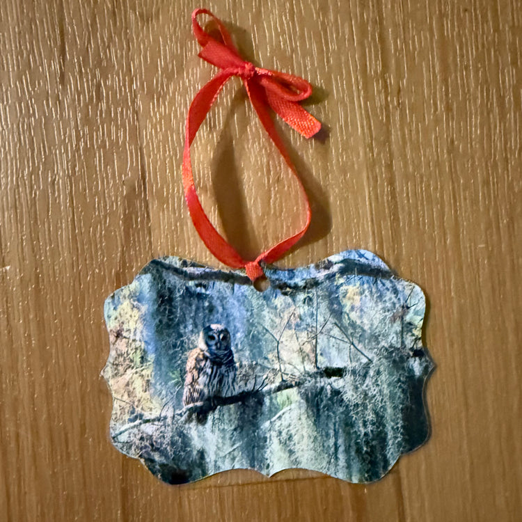 Ornament Barred Owl with Spanish Moss