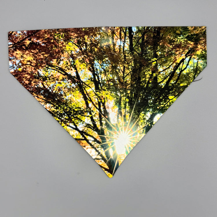 Over Collar Bandana - Fall Sunburst - MD