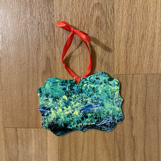 Ornament Alligator on Land