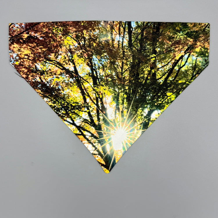 Over Collar Bandana - Fall Sunburst - MD